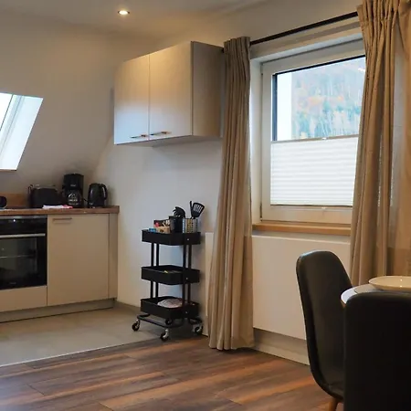 Ferienwohnung Am Okertal Apartment Goslar
